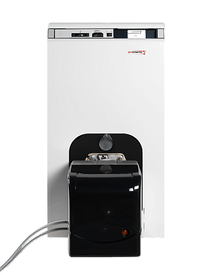 Комбинированный котел Protherm Бизон 50NL