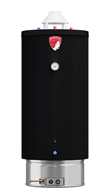Газовый водонагреватель Federica Bugatti INOX WH200